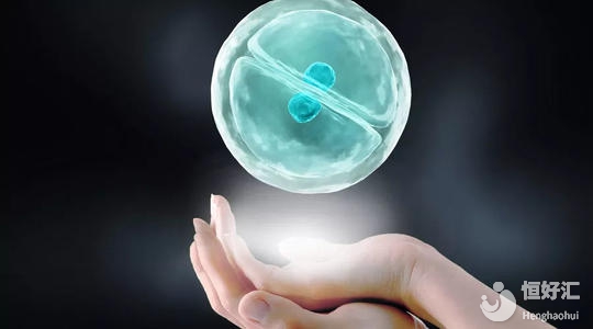 做試管移植多個(gè)胚胎成功率就會(huì)變高？或許有隱情