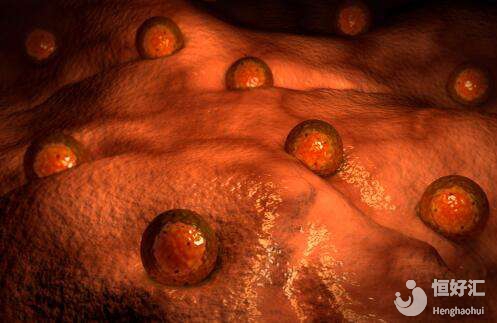 試管嬰兒取卵取到空卵泡？希望不是你的錯(cuò)