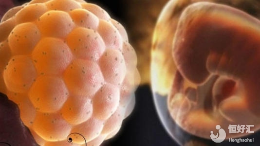 注意了！試管嬰兒選對(duì)移植時(shí)間可以提高成功率