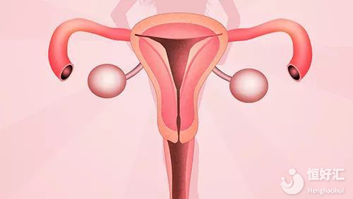 子宮小會影響生育嗎？醫(yī)生：看完才知道不簡單